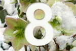   8 