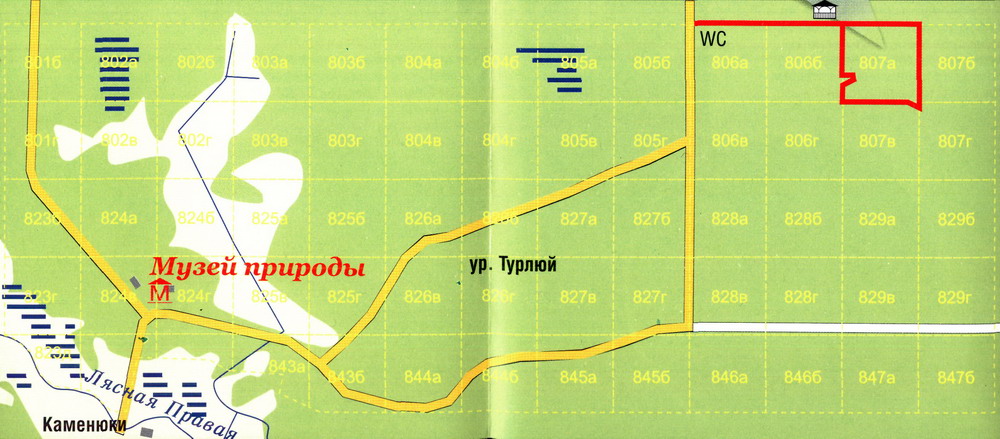 Схема туристического маршрута Заповедная дубрава