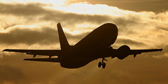 Eurofly      