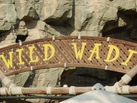 Аквапарк Wild Wadi Дубай ОАЭ